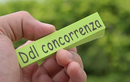 Ddl concorrenza: le novità per i professionisti in vigore dal 29/08