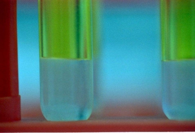 Workshop Sissg a Sanremo 28 e 29 settembre 2017